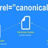 چگونه از Canonical URL استفاده کنیم ؟