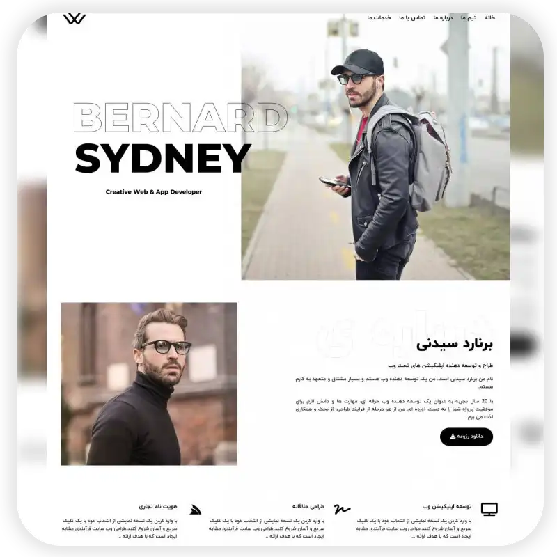  تصویری از سایت شرکتی رویا