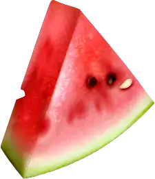 جشنواره تخفیفی سایت ساز زرین در شب یلدا bulr