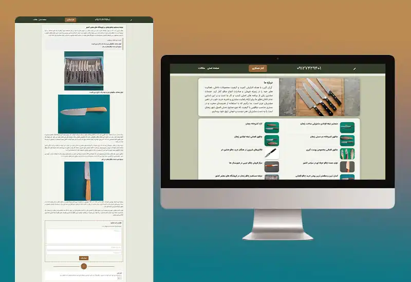 نمونه کار ها