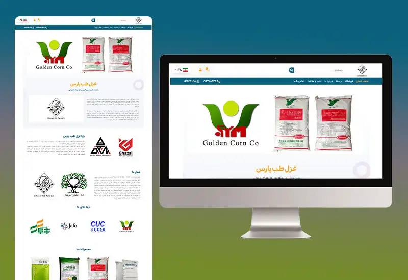 نمونه کار ها